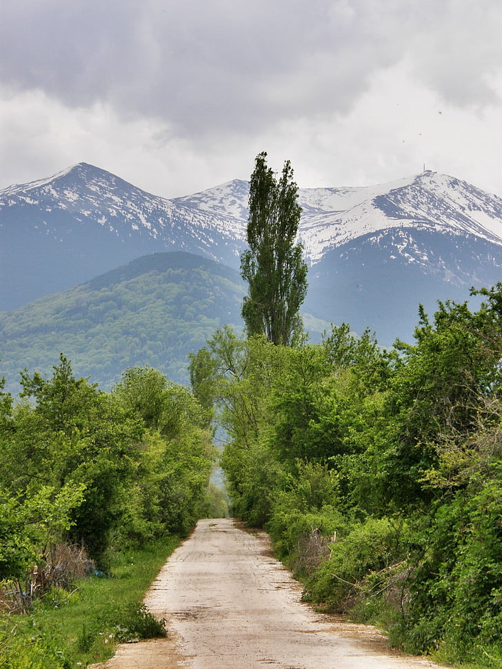 mountain, road, country, way, path, trees, outdoors