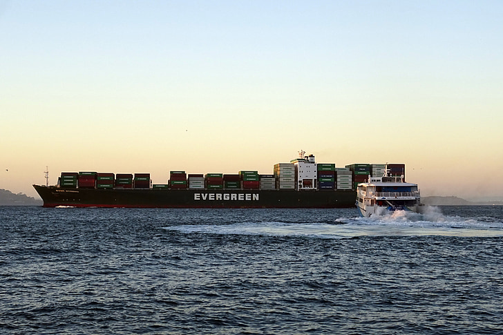Cargo liner, Schiff, Transport, Transport, Fracht, Versand, Bucht