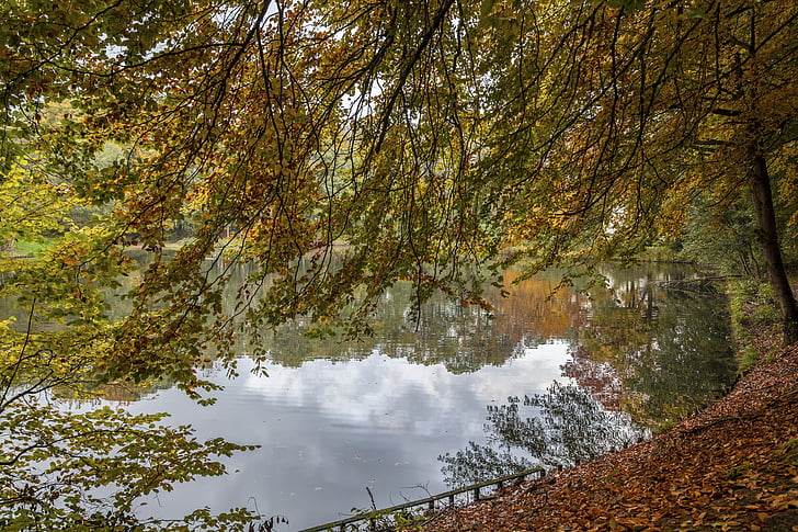 Есен, златна есен, листа, езеро, изкуство, гора, едра шарка
