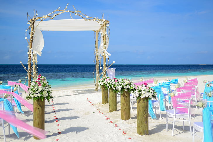 Atoll, dekorasi, dekorasi, tujuan, Toko bunga, bunga, Hotel