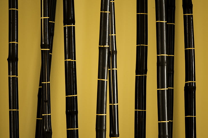 bamboo, background, asian, chinese, plants, vegetables, oriental