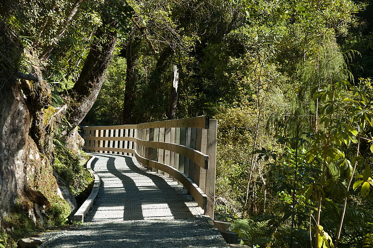 далеч, природата, слънце, Нова Зеландия, пешеходна пътека, дърво, дърво - материал
