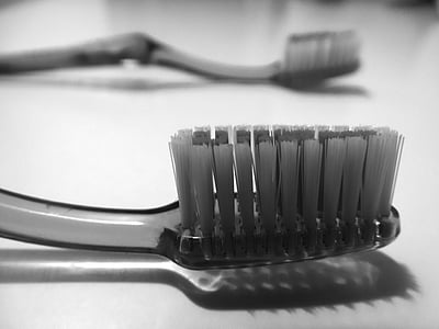 escova de dentes, cerdas, atendimento odontológico, limpar, garfo, comida, close-up