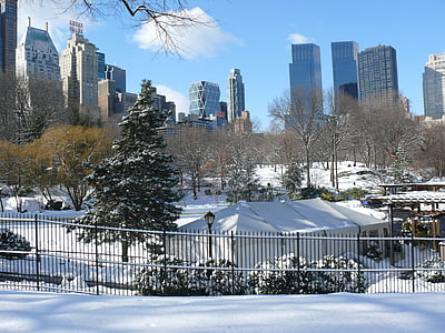 New york, Central park, Manhattan, grande mela, Skyline, grattacielo, New york city