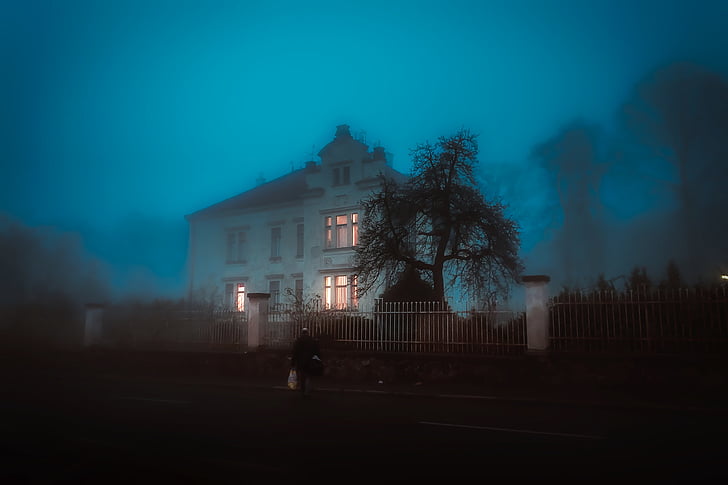 hus, hem, herrgård, spooky, kuslig, skrämmande, dimma