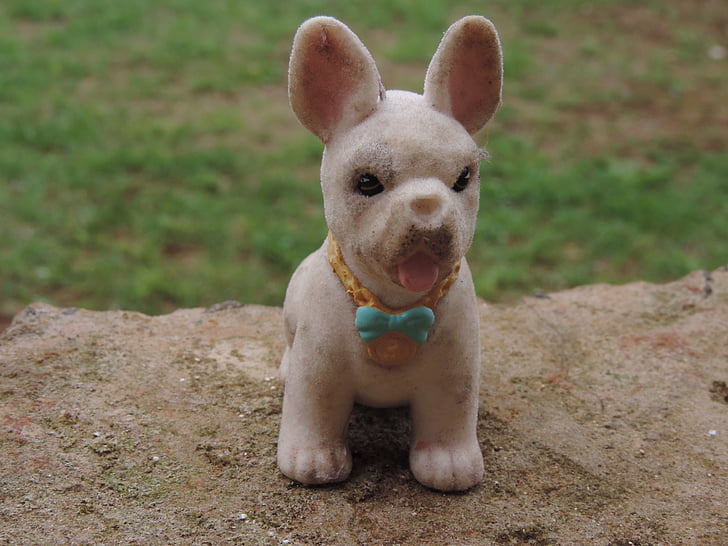 dog, toy, sitting
