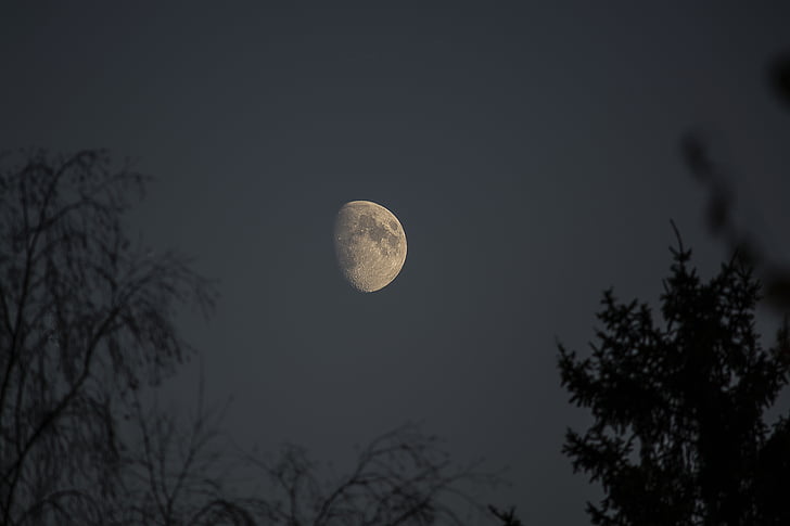 Księżyc, noc, Nikon, Latem, Pełnia księżyca, Moonlight, Natura