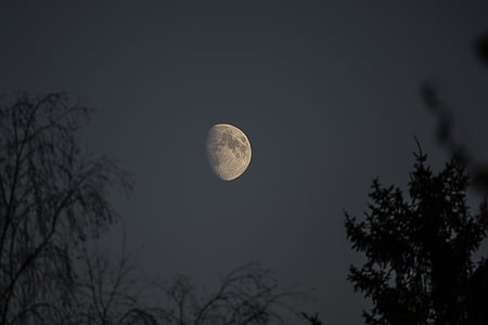 månen, natt, Nikon, sommar, fullmåne, Moonlight, naturen