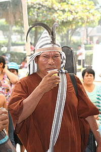 indische, nomarchiguenga, emporschiessend, Peru