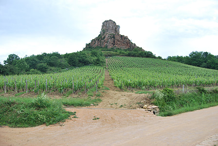 rock, vineyard, burgundy, wine, agriculture, solutré, france