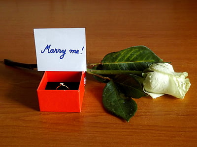 udaj se za mene, zaručnički prsten, ruža, poruka, bijeli