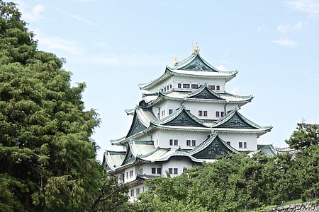 Japão, edifício, Kyoto, o grande telhado