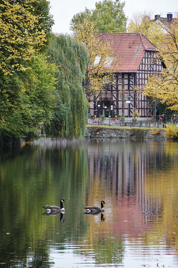 Zlatý říjen, na rybníku, Nils husí pár, podzimní idyla, fachwerkhaus, padajícího listí, stromy