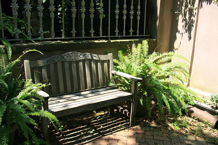 banc, gradina, scaun, amenajate, plante, bambus - plante, în aer liber