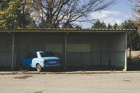 blau, Berlina, vehicle, cotxe, aparcament, cobert, arbres
