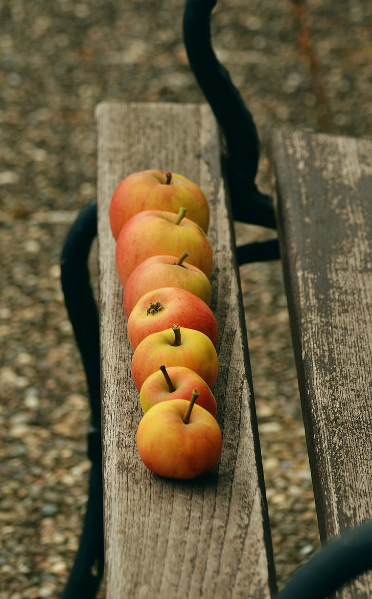 apple, goldparmäne, fruit, windfall, garden, series, lined up
