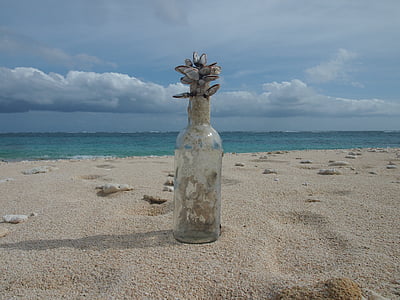 yoron, apvalkalas, juokingas, butelis, paplūdimys, jūra