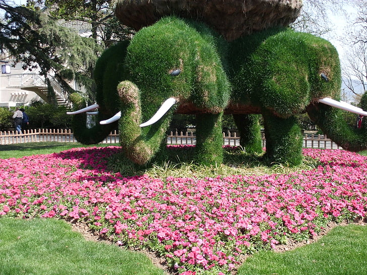xuanwu lake, elephants, trees, artistic creation, gardens, flowers, rosa