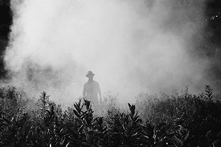 ο άνθρωπος, φορώντας, καπέλο, Εικονογράφηση, μαύρο και άσπρο, ομίχλη, κρύο