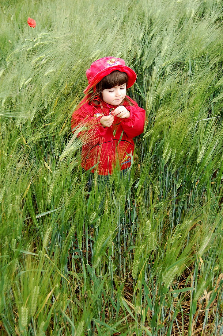 dieťa, červená, lúka, tráva, Príroda, jedna osoba, pole