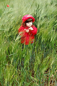 otrok, rdeča, travnik, trava, narave, ena oseba, polje