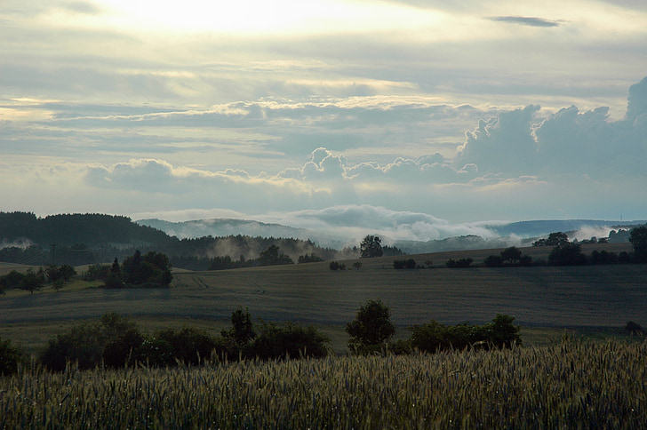 mgła, Hinterhermsdorf, krajobraz, Natura, Rolnictwo, scena, gospodarstwa