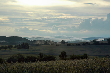 nebbia, Hinterhermsdorf, paesaggio, natura, agricoltura, Scena rurale, azienda agricola