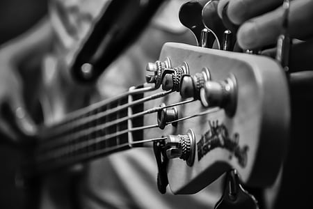 music, low, electric bass, strings, keys, rock, stage