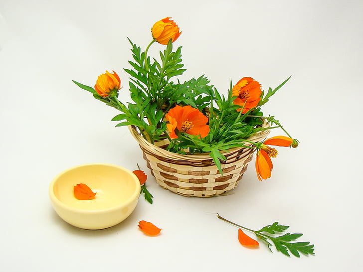 flowers, basket, green, orange, yellow, nature, summer