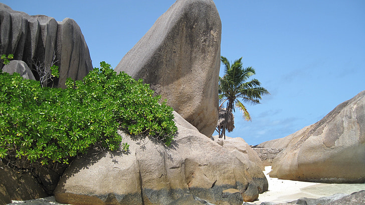 seychelles, beach, granite rock, palm trees, indian ocean