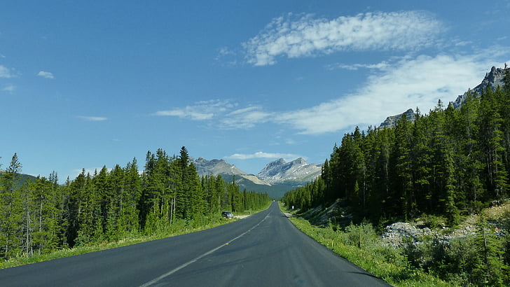 Columbia-ijsveld parkway, Canada, Banff, Jasper, natuur, schilderachtige, bos