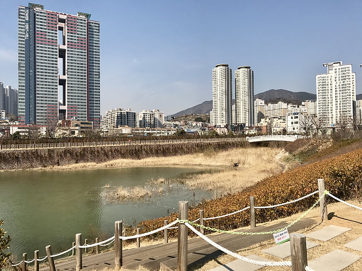 езеро, парк, Корея Национална, градски пейзаж, архитектура, градски силует, градски сцена