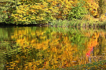 autunno, fogliame di caduta, colore di caduta, acqua, il mirroring, Ludwigslust-parchim, Parco del castello