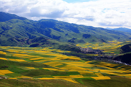 Hiina, Qinghai, maastik, põllumajandus, loodus, maaelu stseen, talu