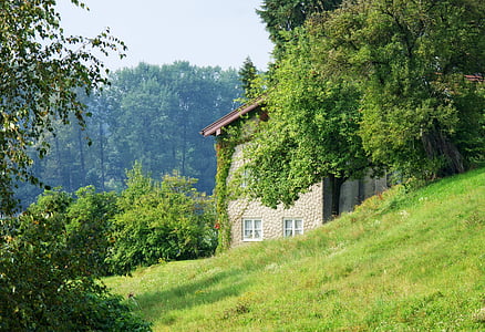 natura, acasă, verde, copaci, peisaj, clădire, Casa veche