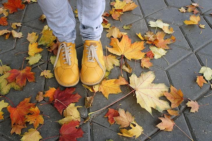 chaussures, jaune, automne, feuilles, rue, chaussée, sideway