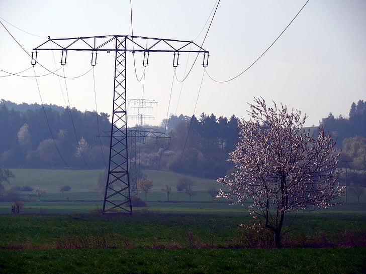 current, electricity, upper lines, technology, power poles, energy, reinforce
