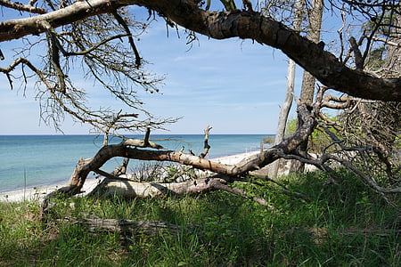 Mar Báltico, Playa del oeste, Fischland-darss, Parque Nacional, mar, Playa, naturaleza