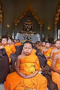 불교도 승려, 불교, 초보자, 명상, 골드 스님, 전통, 전통 식