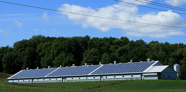 solar power, sun, barn, power, energy, electricity, alternative