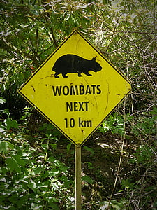Wombats, Wombat, scudo, Nota, segno, segnale stradale, segnale di pericolo