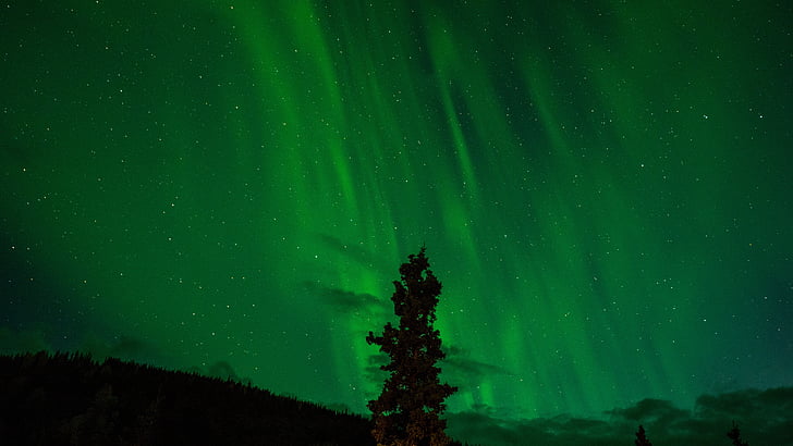 Kuzey ışıkları, Yeşil, Aurora, borealis, astronomi, fenomen, Aurora borealis