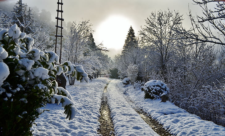 Ruta de acceso, nieve, Cévennes, sol, invierno