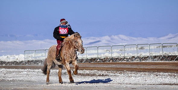wyścigów konnych, linia mety, zimowe, Jazda, u koni, wyścigi, konkurencji