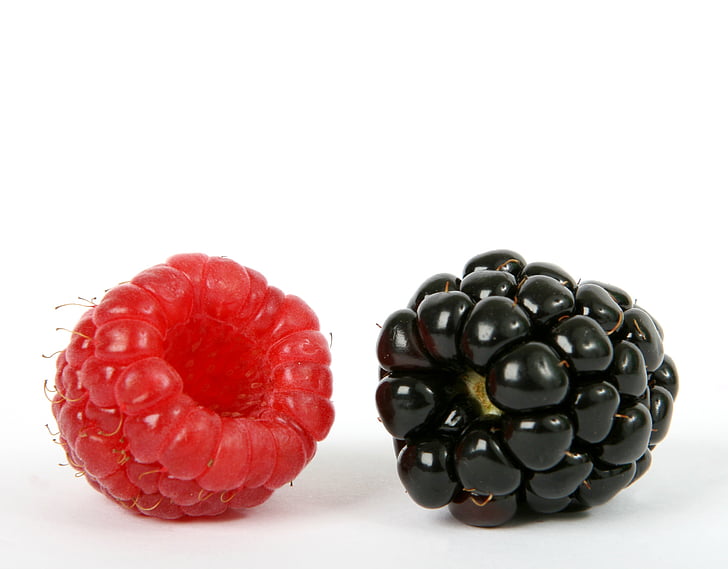 jagodami, črna, BlackBerry, Borovnica, zajtrk, od blizu, barva