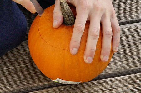 pumpkin, pumpkins, orange, bright, autumn, autumn decoration, seasonal