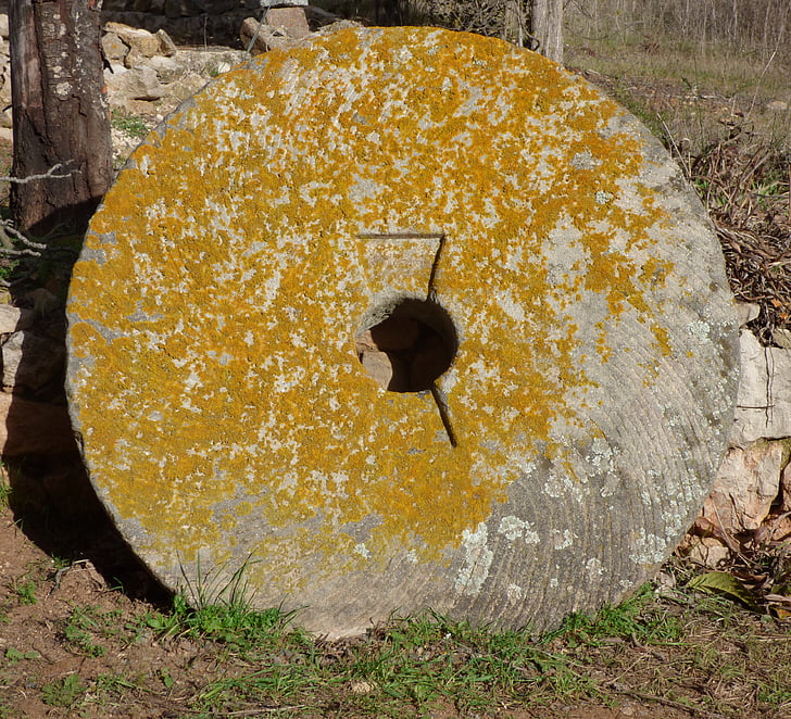 mill wheel, volandera, granite, lichen, oil mill