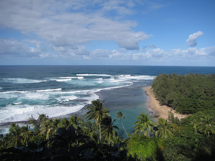 hawaii, beach, shore, ocean, water, tropical