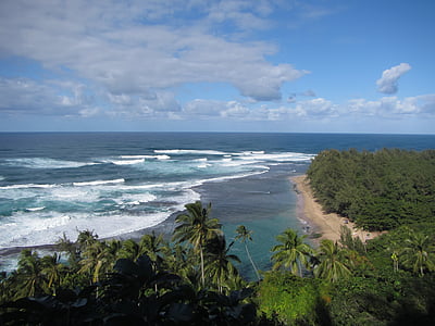 Hawaii, Beach, Shore, óceán, víz, trópusi