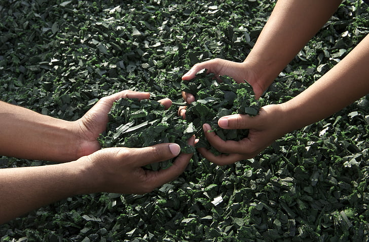 Hände, arbeiten zusammen, Teamarbeit, Grün, recyceltem Kautschuk, menschliche hand, halten